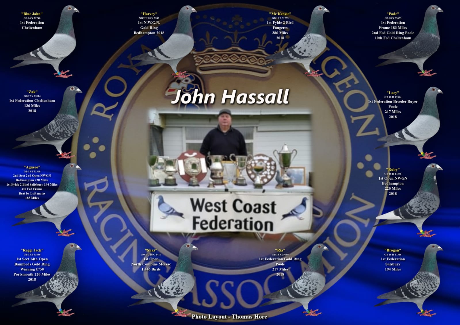 Our Pigeons - Spartan Racing Pigeons